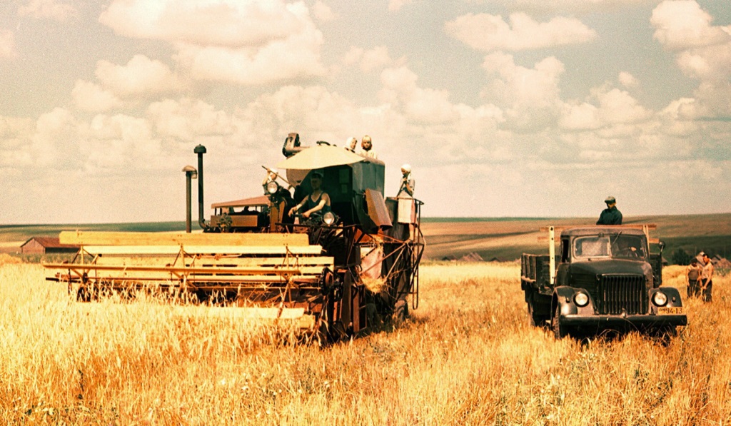 Все колхозы района продали государству зерно сверх плана колхоз рассвет