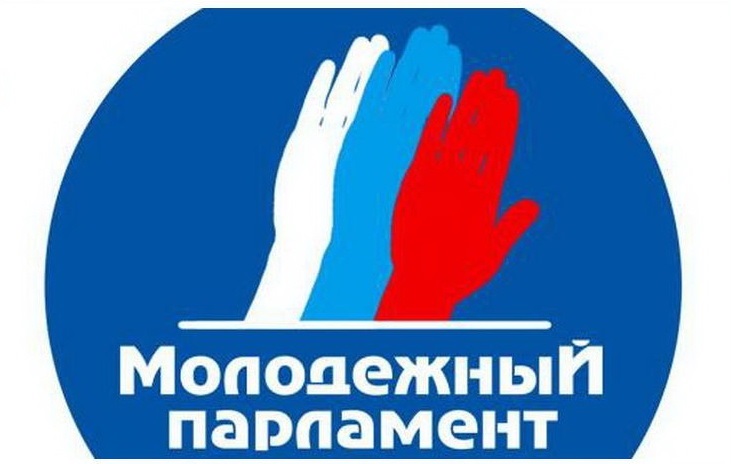Молодежный парламент картинка