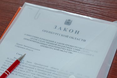 На повестке – социально ориентированные НКО 