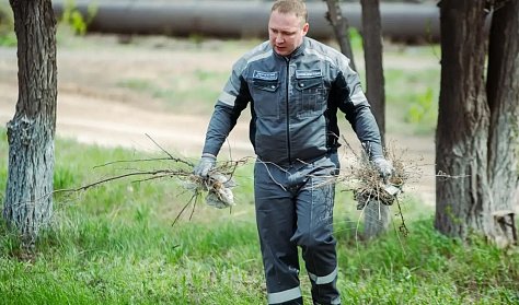 Город стал чище