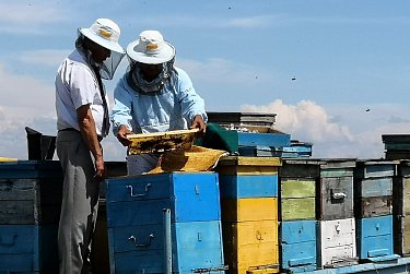Александр Жарков ознакомился с работой местных сельхозпроизводителей 