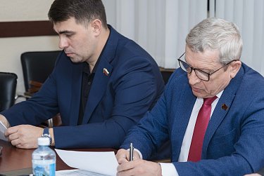 Депутаты заслушают Анатолия Чадова и Анжелику Линькову