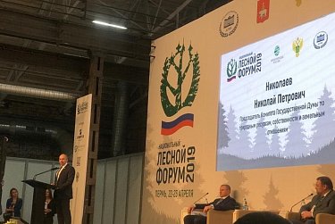 В Перми прошел Национальный лесной форум
