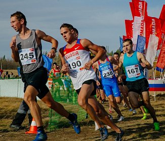 Чемпионат России по кроссу