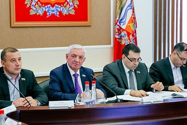 На заседании бюджетного комитета