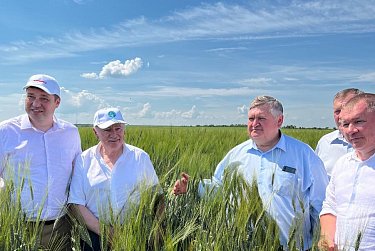 День поля объединил аграриев области