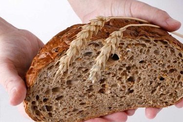 Александр Жарков: «Новый подход позволил понизить цену продукции, повысить долю сельхозтоваропроизводителя в структуре конечной прибыли»