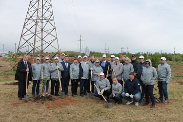 На месте бывшей свалки – кленовая аллея