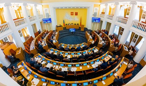 Вопрос о бродячих собаках решил закон