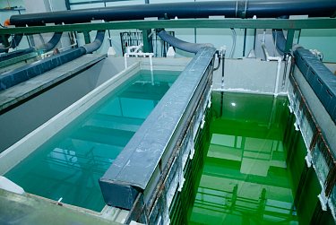 Пример грамотного бизнеса