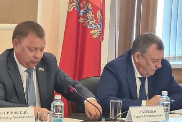 Позиция оренбургских парламентариев услышана