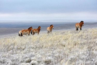 11 января – День заповедников и национальных парков