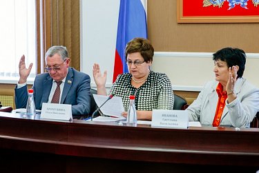 На заседании комитета по социальной и демографической политике 