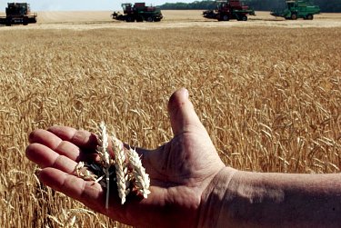 Сергей Алейников поздравил тружеников села