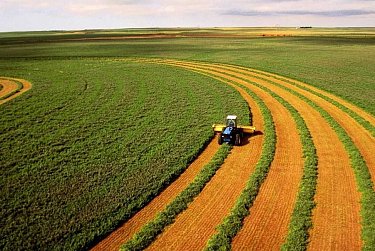 Ужесточается процедура перевода земель сельхозначения