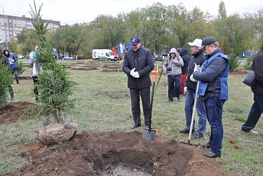 На субботнике в сквере имени Александра Прохоренко