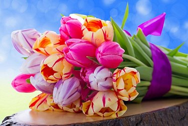 27 ноября - День матери