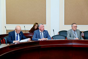 Парламентский час