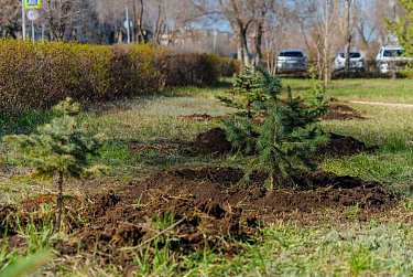 Генеральская аллея появилась в Оренбурге