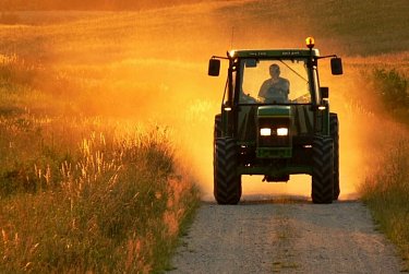 В Оренбуржье учредят День фермера