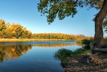 О сохранении Урала – за «круглым столом»