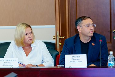 Профильный комитет обсудил вопросы совершенствования пенсионного законодательства