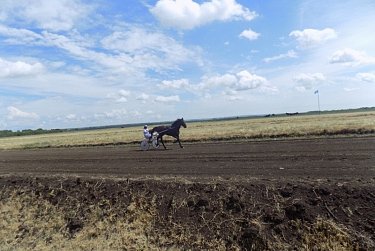 Праздник «Русская березка» отметили в селе Грачевка