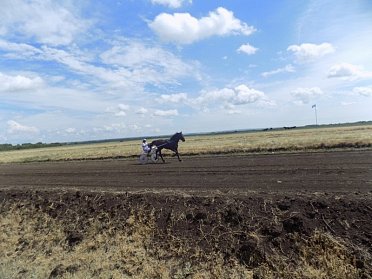 Праздник «Русская березка» отметили в селе Грачевка