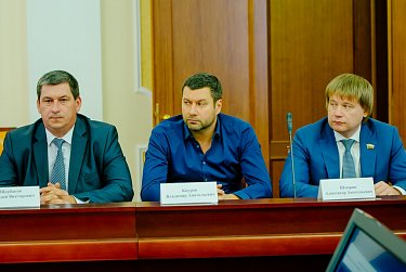 Экологический совет обсудил проблемы водоохранных зон и водных объектов