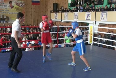 Сергей Салмин наградил юных боксеров