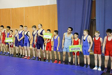 Турнир памяти мастера спорта СССР Е.Н.Францева