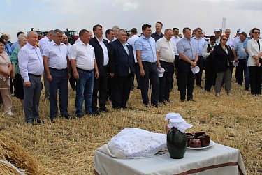 Уборка урожая, заготовка кормов и сев озимых 