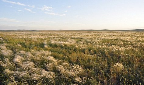Сегодня – День степи Оренбургской области