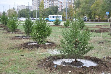 На субботнике в сквере имени Александра Прохоренко