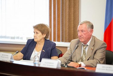 Депутаты подняли тему доступности объектов и услуг для инвалидов  