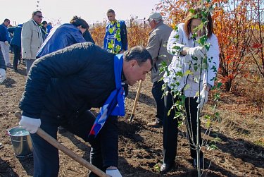 «Зеленые легкие» областного центра