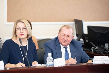 Областные парламентарии определились с вариантами решения «детских проблем»