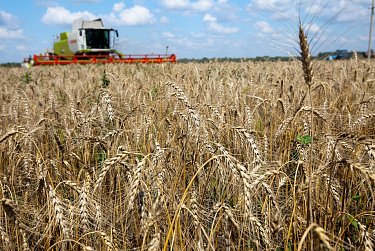 Уборочная кампания набирает темпы