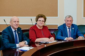 Парламент в деталях