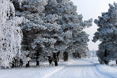 11 января - День заповедников и национальных парков
