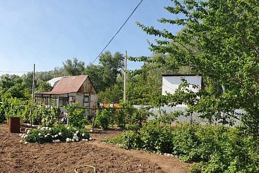 Закон о садоводстве адаптирован к сегодняшним реалиям