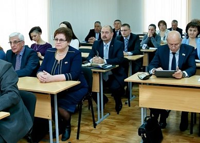 Молодые парламентарии обменялись опытом с коллегами из Беляевского района