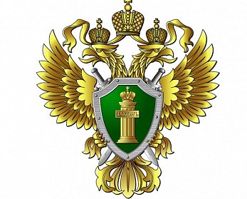 12 января - День работника прокуратуры РФ