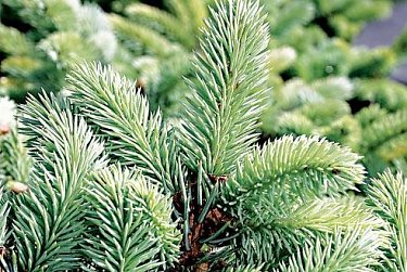  В память о Герое России