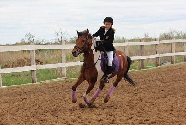 Конный спорт – красота, благородство и грация 