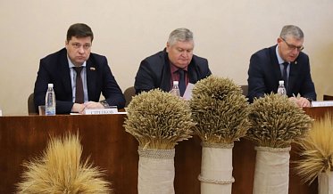 Семеноводству – особое внимание 