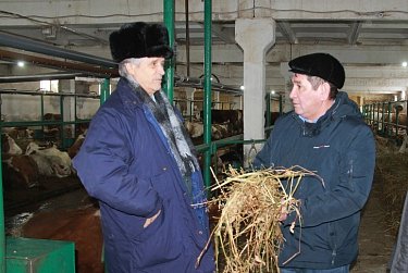 Александр Жарков посетил обладателей грантов в сельскохозяйственном производстве