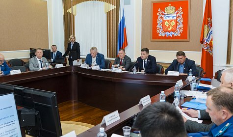 Бездомные собаки: Оренбургская область ищет выход из ситуации