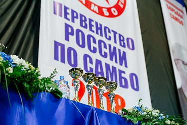 Сергей Грачев: «Самбо – это бренд спортивной России»