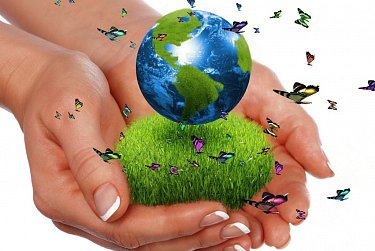 С Днем эколога, Всемирным днем окружающей среды!